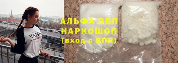 сатива Осинники