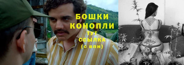 молекула духа Балабаново