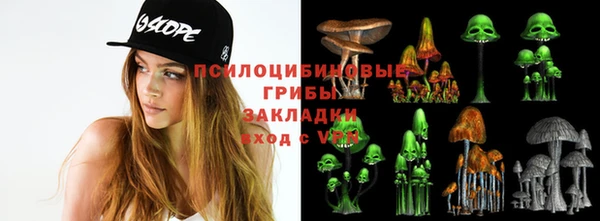 ГАЛЛЮЦИНОГЕННЫЕ ГРИБЫ Балахна