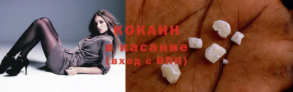 сатива Осинники