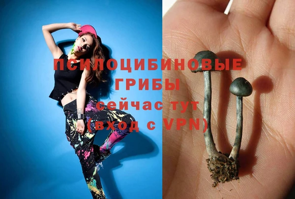 стаф Осташков