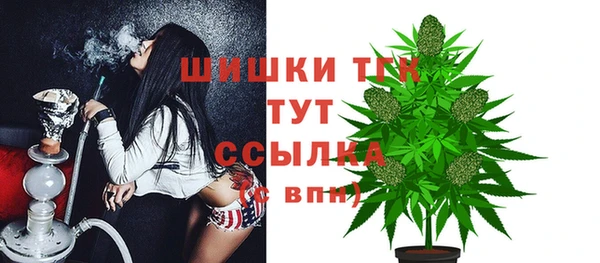 ГАЛЛЮЦИНОГЕННЫЕ ГРИБЫ Балахна