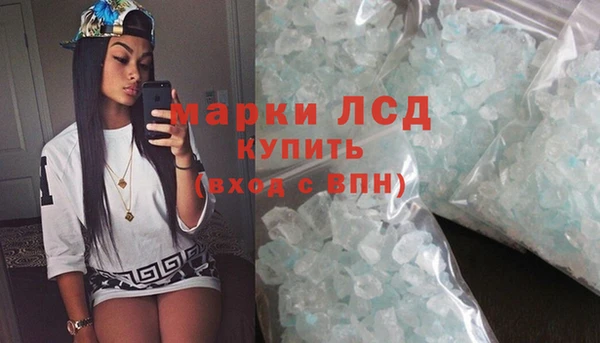 сатива Осинники