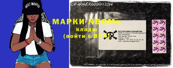 стаф Осташков
