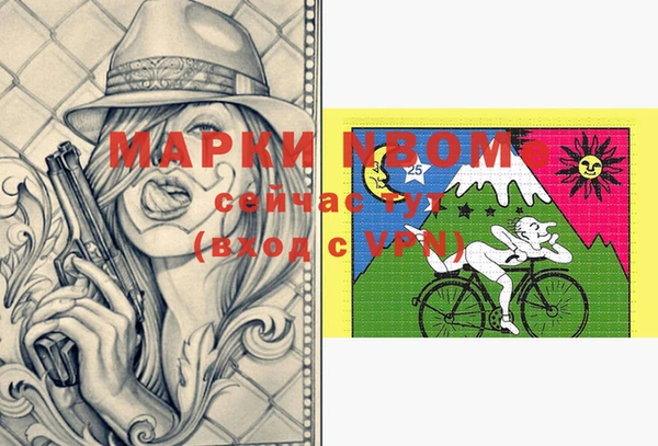 стаф Осташков