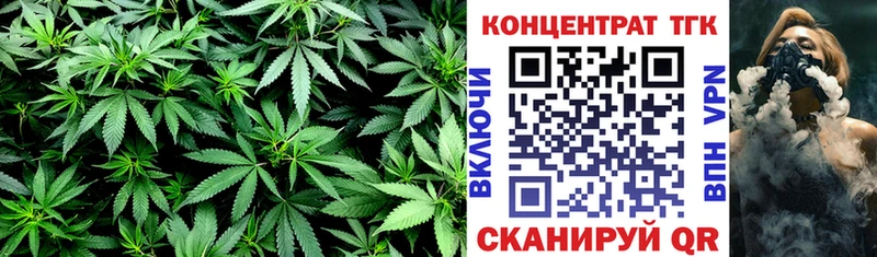 где найти наркотики  Сертолово  Дистиллят ТГК THC oil 
