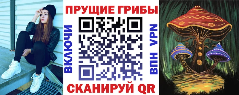 Псилоцибиновые грибы Psilocybe  Сертолово 